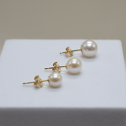 14k Gold | Paradise Pearl Studs